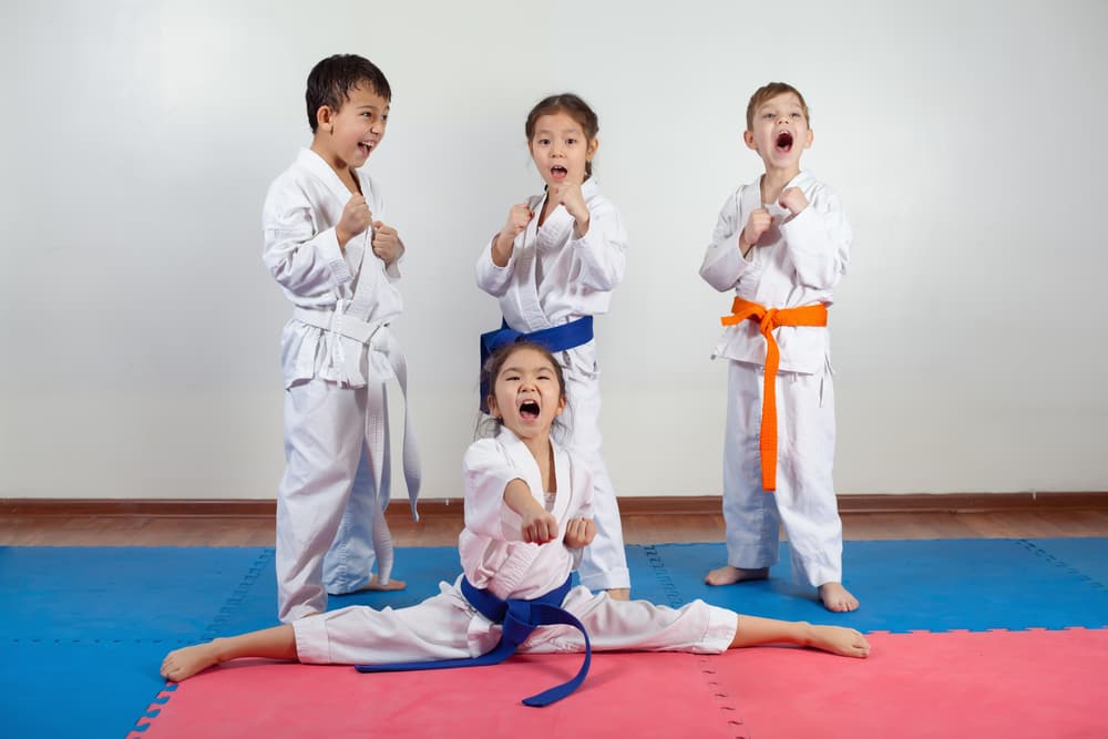 Kids Martial Arts